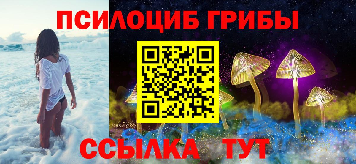 Осинники  купить  сайты  Вход с VPN  Псилоцибиновые грибы Magic Shrooms 
