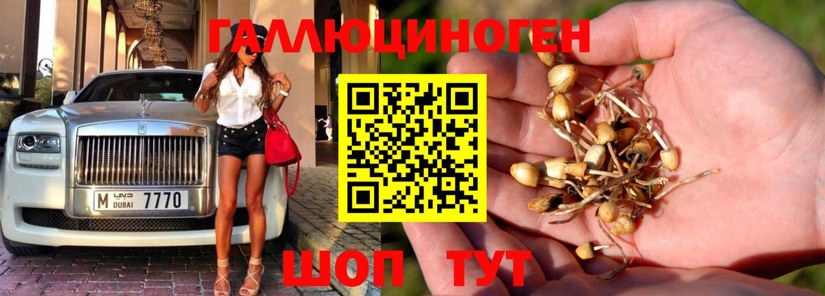 Галлюциногенные грибы мухоморы Осинники